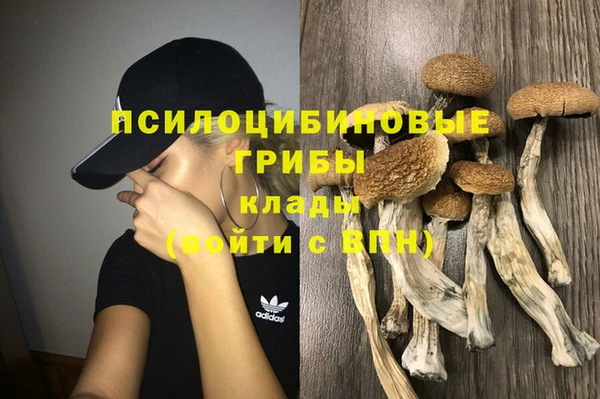 сатива Богданович