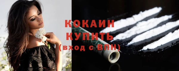 дживик Богородск