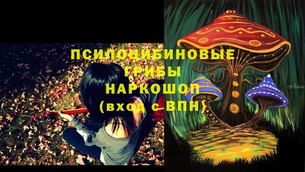 сатива Богданович