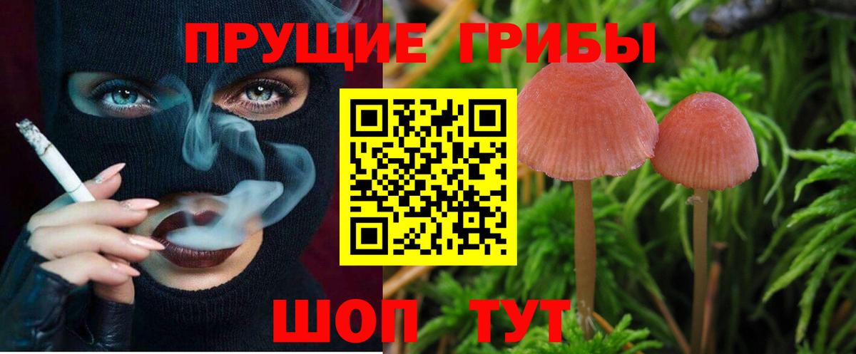 Псилоцибиновые грибы ЛСД  Вход с VPN  Псилоцибиновые грибы Psilocybine cubensis  Кстово 